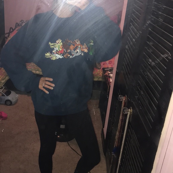 Warner Bros. Other - Vintage Warner Brothers sweat shirt